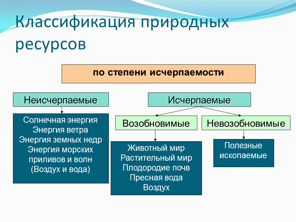 Что из перечисленного не относится к экономическим ресурсам компьютер