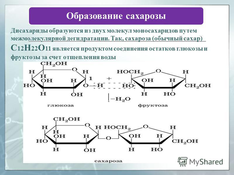 Глюкоза и фруктоза образуются при гидролизе. Образование сахарозы из моносахаридов. Схема образования дисахарида из моносахаридов. Образование дисахаридов из моносахаридов. Реакция образования дисахаридов.