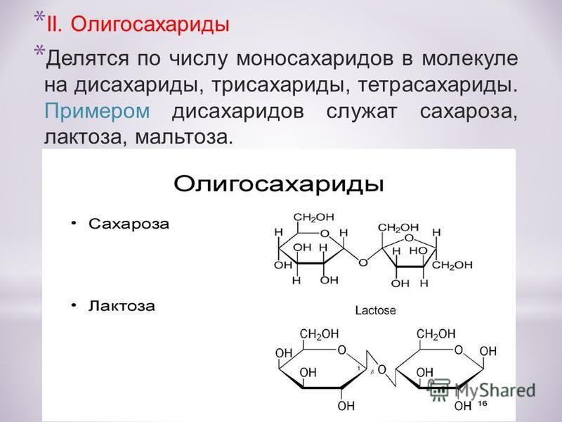 Что относится к дисахаридам