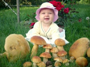 Фото на тему «Почему детям нельзя грибы?»