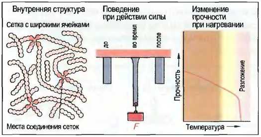 Эластомер