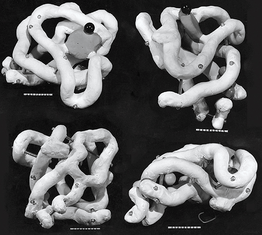 Структура миоглобина