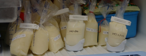 Температура и сроки хранения грудного молока