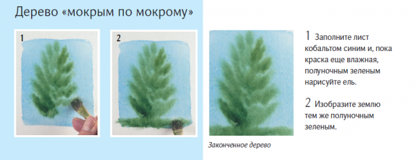 В книге показаны разные техники акварельной живописи: «мокрым по мокрому», «мокрым по сухому», «сухая кисть», «маскирующая жидкость» и другие. Вы узнаете, как прорабатывать детали, создавать текстуры, формировать четкие контуры и оживлять рисунки с помощью финальных штрихов.