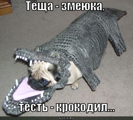 Современные неологизмы
