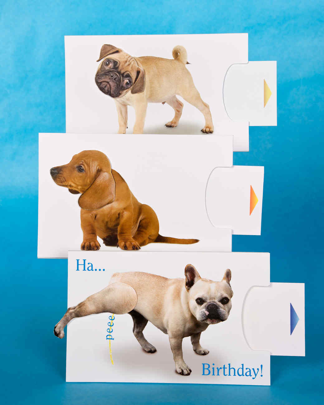 Diy mechanical dog cards