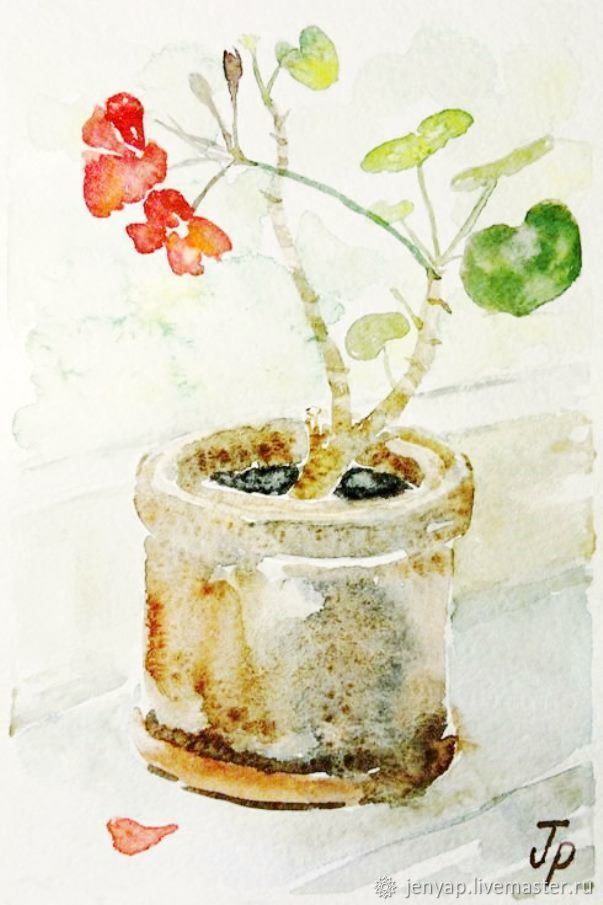 Пишем пошагово акварелью комнатное растение, фото № 10
