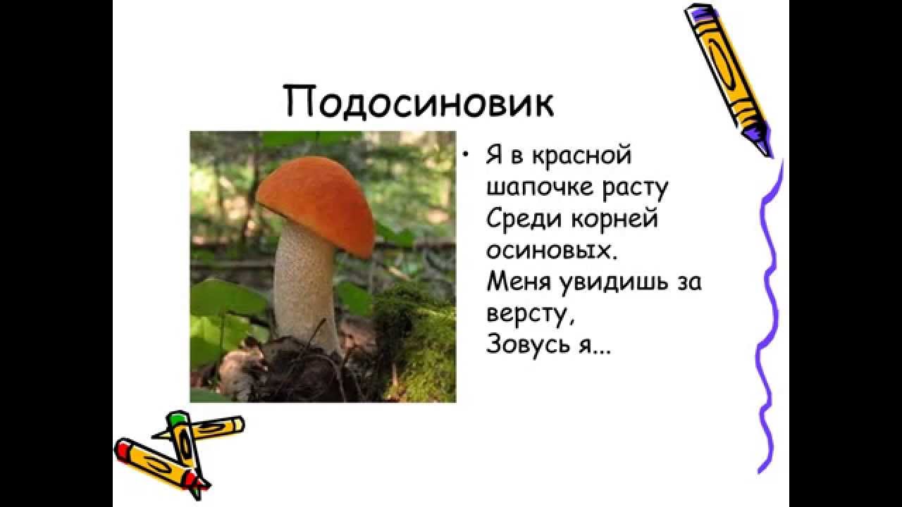 Картинки несъедобных грибов для детей с названиями   сборка (19)