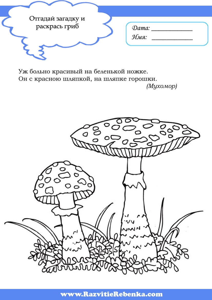 Съедобные грибы   фото с названиями для детей (16)