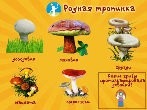Съедобные грибы   фото с названиями для детей (28)