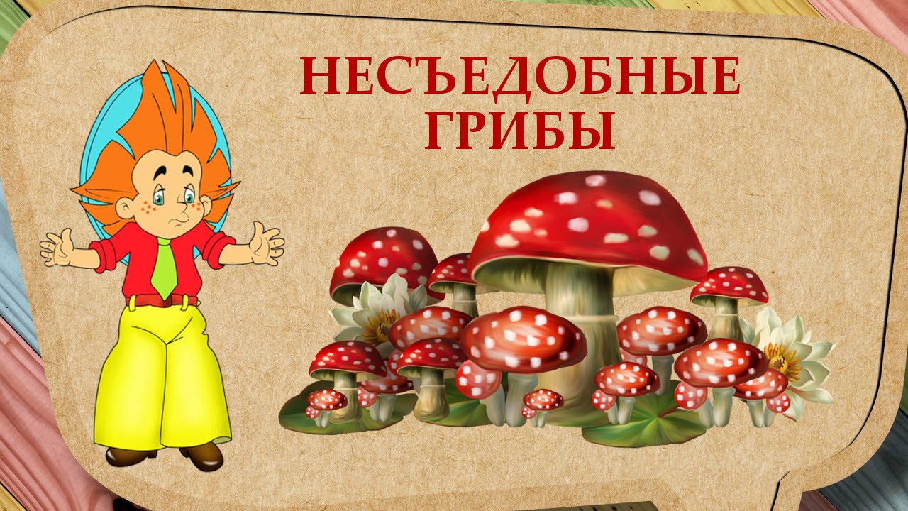 Съедобные и несъедобные грибы   карточки для детей (9)