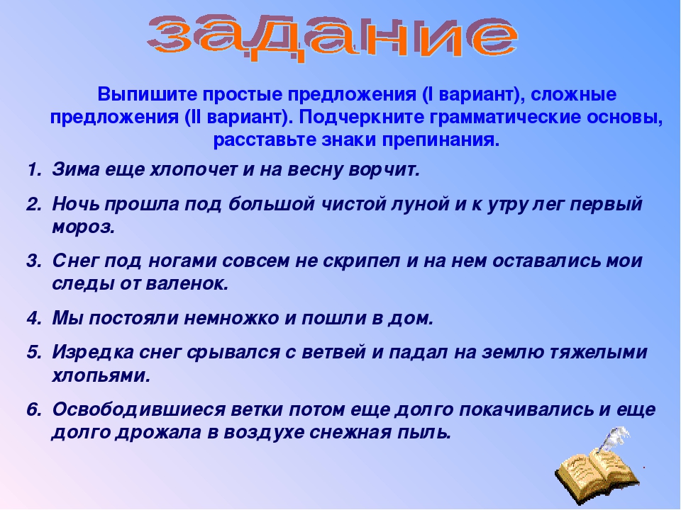 Напиши несколько предложений по образцу