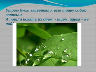 Утром бусы засверкали, всю траву собой заткали. А пошли искать их днем, - ище