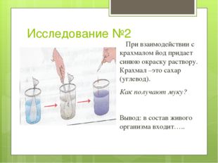 Исследование №2 При взаимодействии с крахмалом йод придает синюю окраску раст