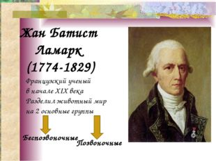 Жан Батист Ламарк (1774-1829) Французский ученый в начале XIX века Разделил ж