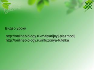 http://onlinebiology.ru/malyarijnyj-plazmodij http://onlinebiology.ru/infuzor