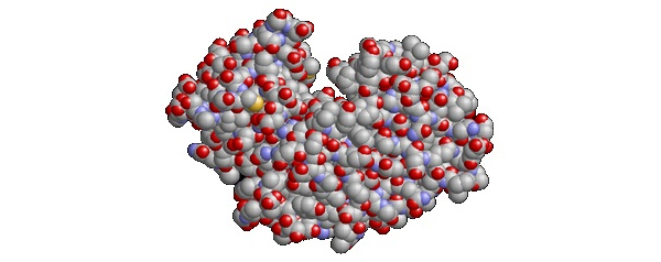 Белковая молекула — самый жизненный пример коллективного атомного движения
