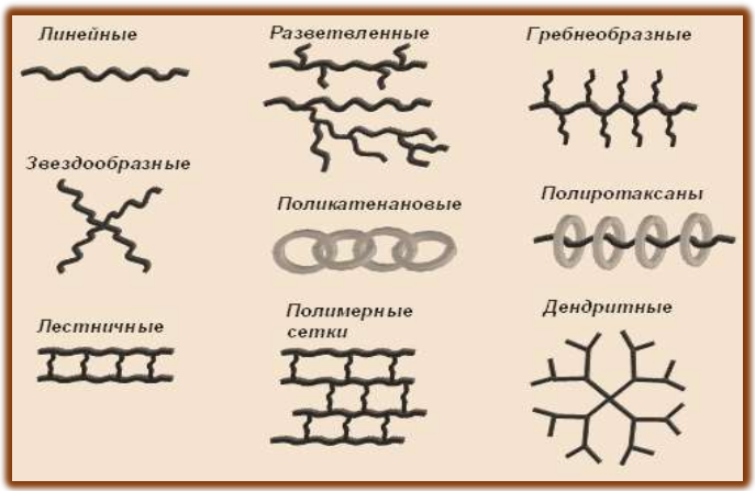Формы макромолекул полимеров