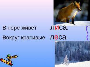 безударные гласные звуки в словах