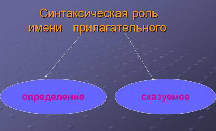 признаки имен прилагательных постоянные и непостоянные