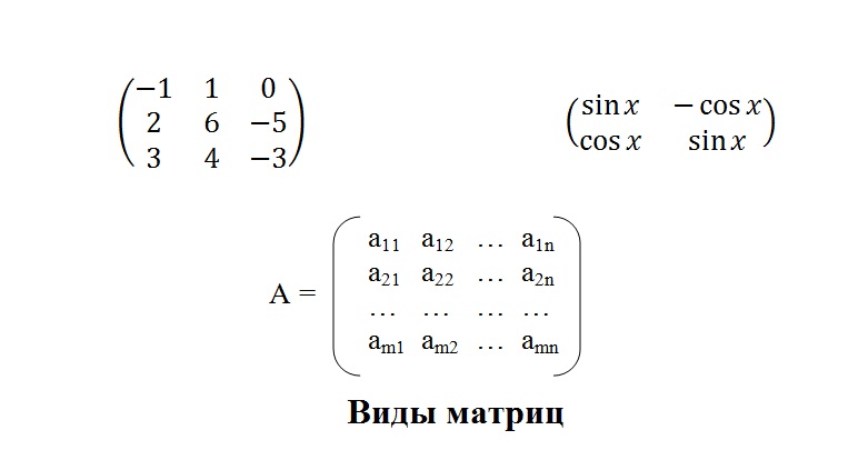 Виды матриц