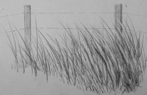 как нарисовать траву карандашом