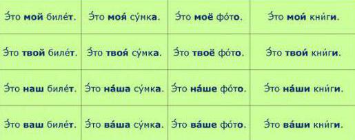 Притяжательные местоимения в русском языке. Примеры.