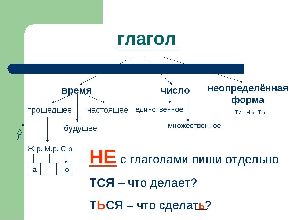 Опорная схема по теме глагол