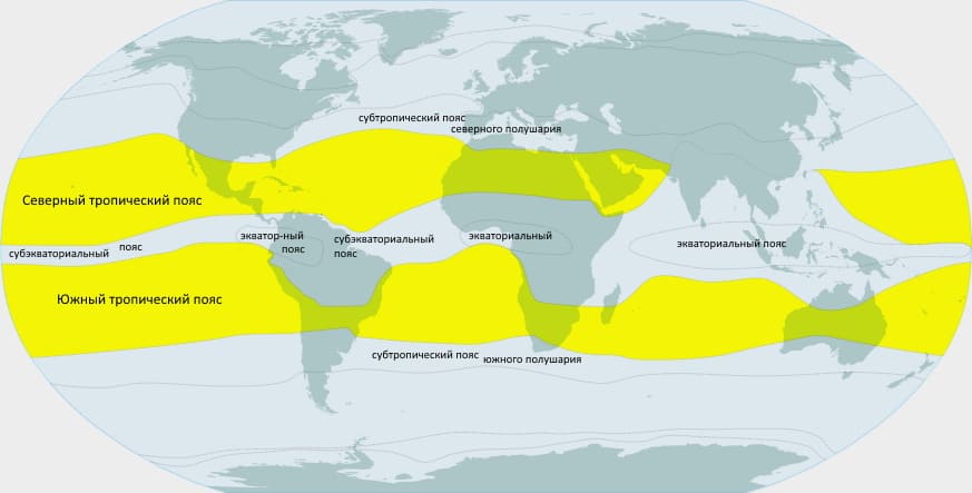 На рисунке 1 выделена область - Географическое положение тропического пояса в двух полшариях Земли