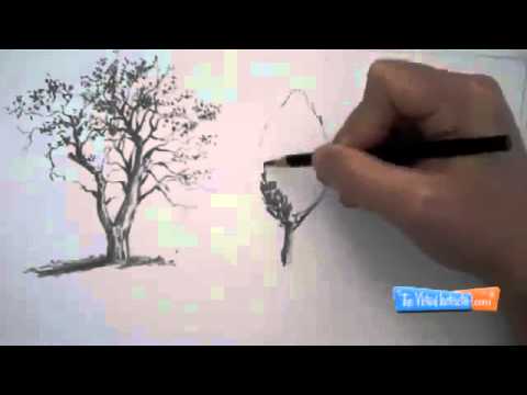 Как рисовать деревья от руки