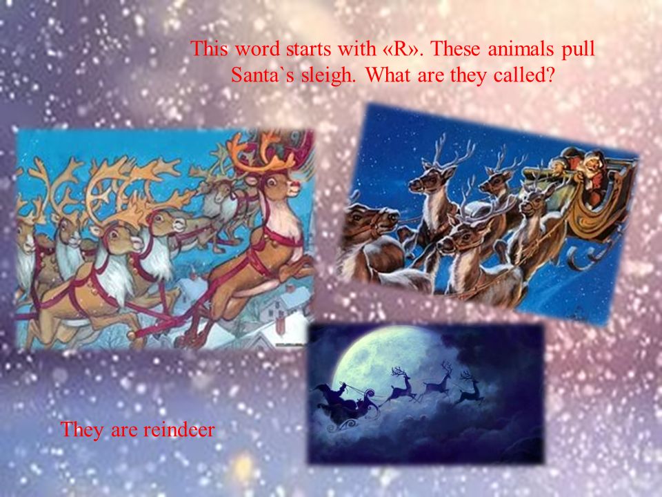 This word starts with «R». These animals pull Santa`s sleigh.
