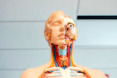 Имеют 3 пары ног, органы дыхания – трахеи. Тело состоит из : головы, груди и