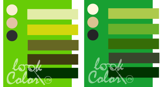 сочетание желто зеленого и зеленого роял с  теплым зеленым