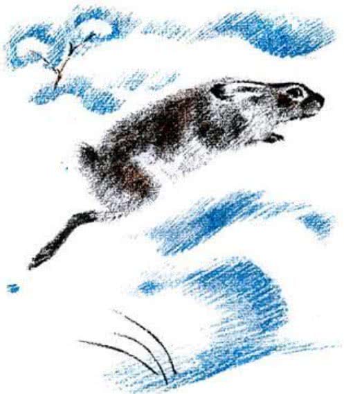По следам: Снежная книга - Бианки В.В.