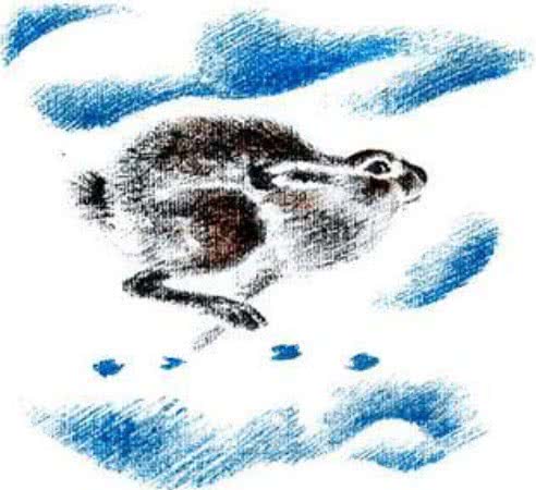 По следам: Снежная книга - Бианки В.В.