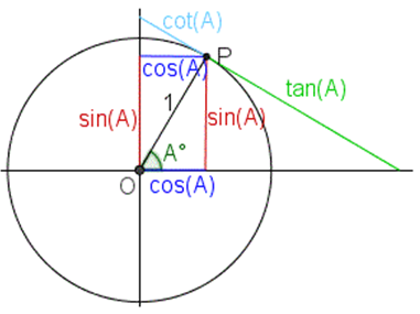 Тригонометрическая единичная окружность