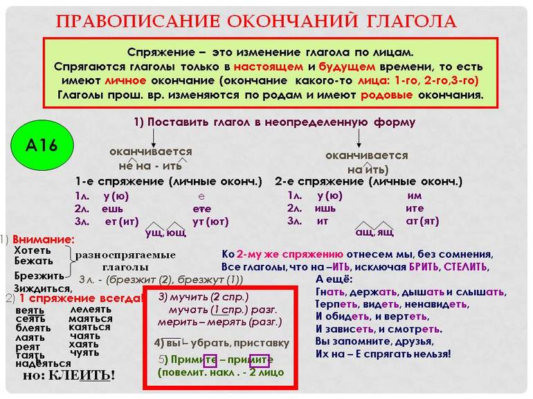 Нормы правописания глаголов