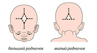 Зачем новорожденному роднички?