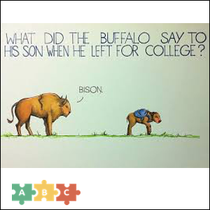puzzle_bison