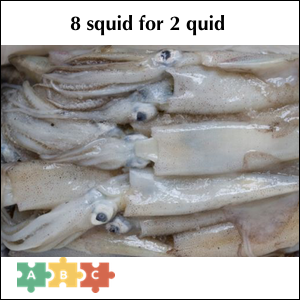 puzzle_squid_quid