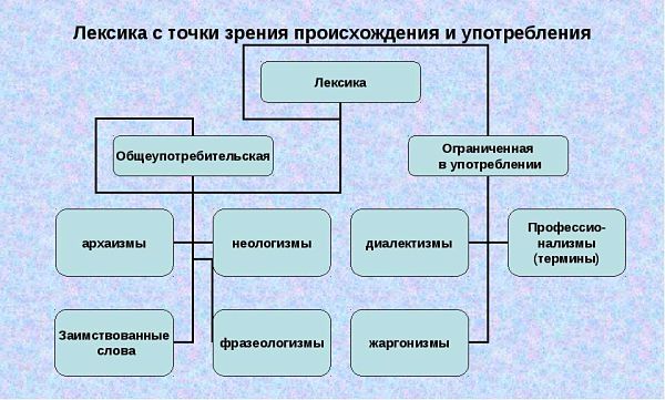 Лексика с точки зрения происхождения и употребления