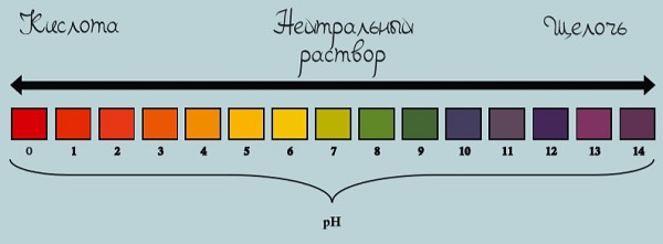 Шкала pH
