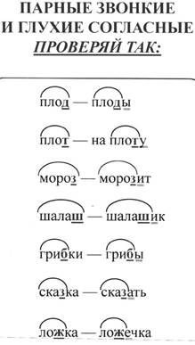 Слова с парными согласными