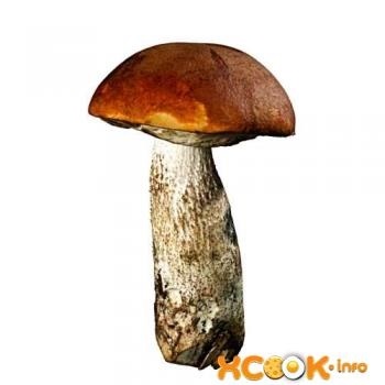 картинка для детей гриб подосиновик 001
