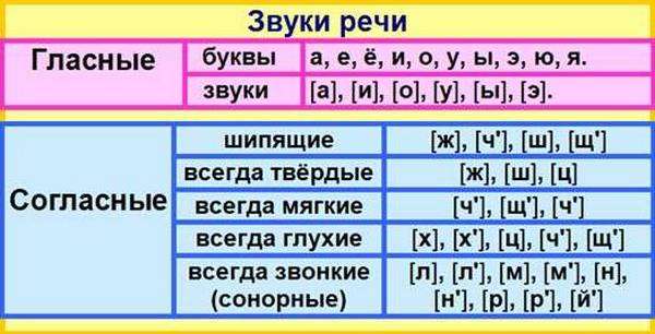 Как делается фонетический разбор слова: пример звукового анализа