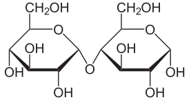 Maltose Haworth.svg