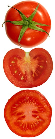 Tomatoes-on-the-bush.jpg