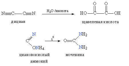 Первые синтезы органических соединений. Получение щавелевой кислоты при гидролизе дициана и мочевины при нагревании циановокислого аммония.
