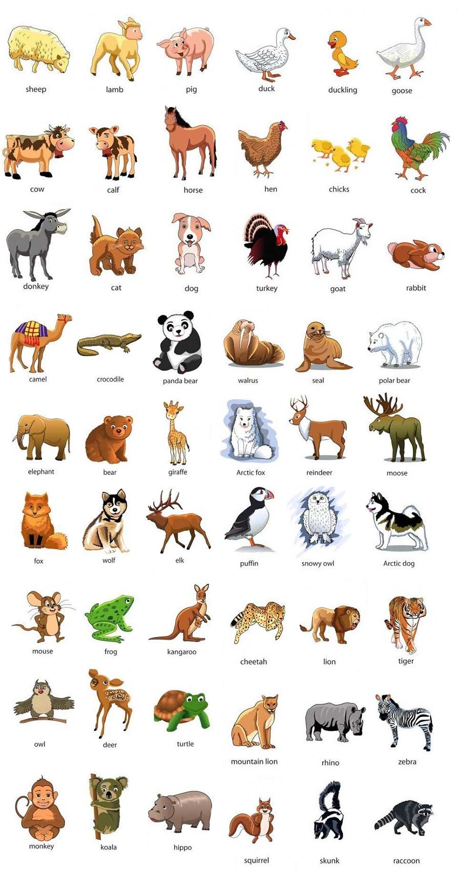 Животные на английском